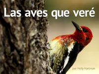 Las_aves_que_vere__